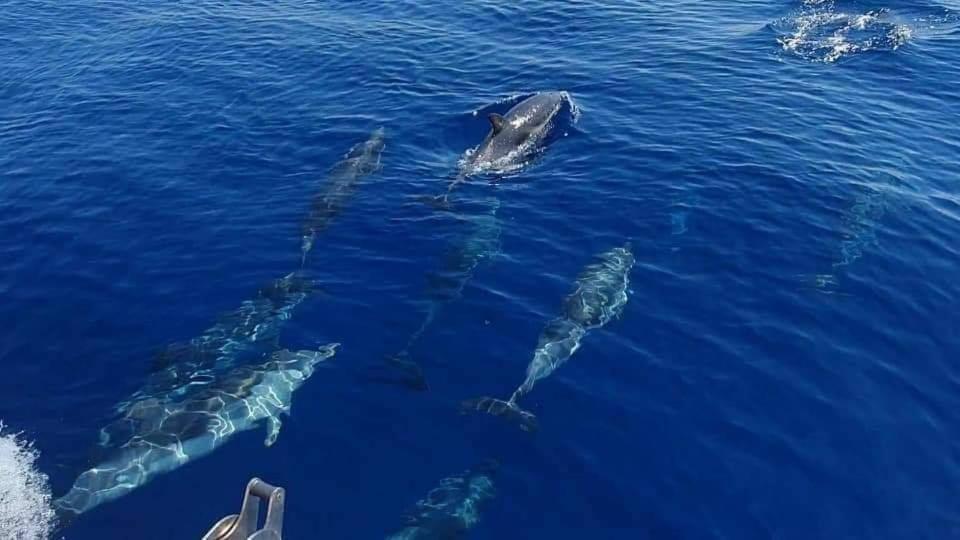 Dolcesosta B&B Marina Di Pulsano Εξωτερικό φωτογραφία