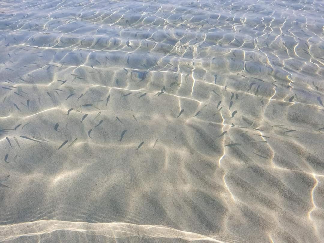Dolcesosta B&B Marina Di Pulsano Εξωτερικό φωτογραφία